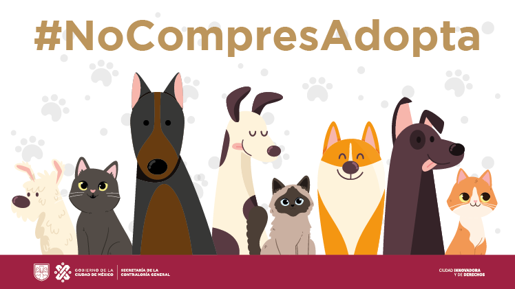 #No_compres_adopta